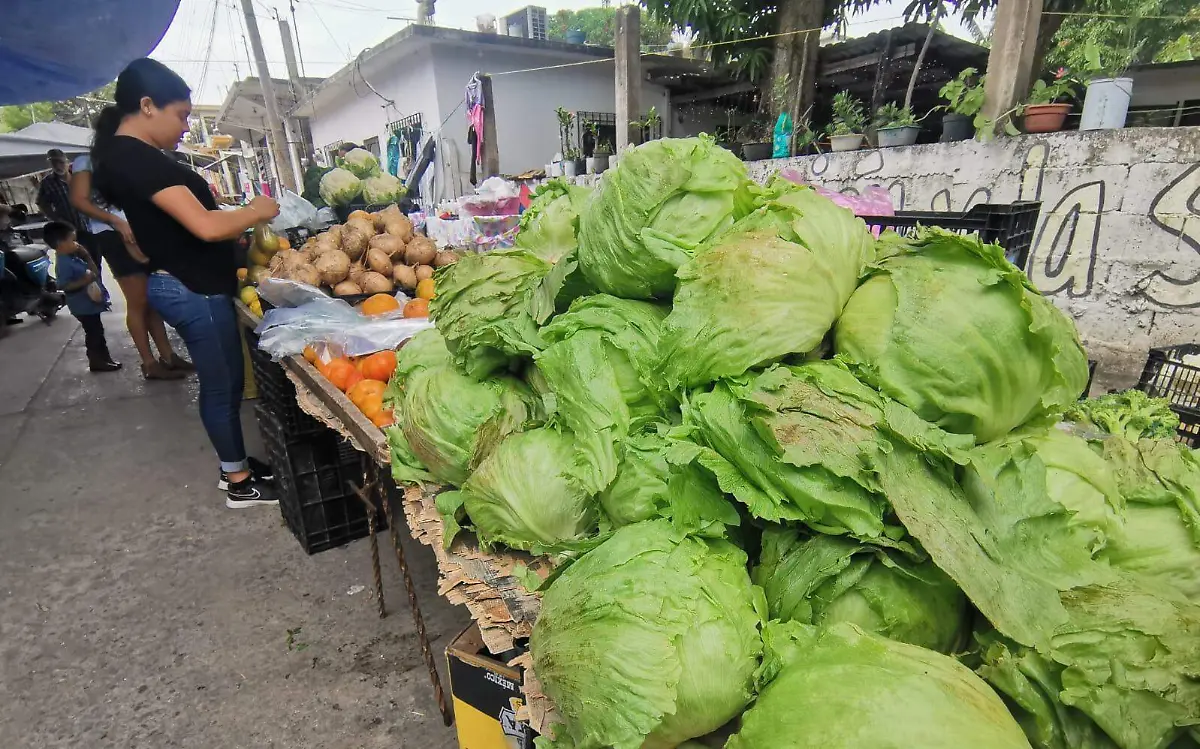 Se duplica el precio de la lechuga Alfredo Márquez1